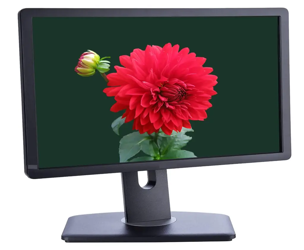 Renewed Dell P1913T 19" Widescreen 1440 x 900 Flat Panel Display LCD Monitor 60Hz D-Sub DVI DisplayPort With 90 Days Warranty